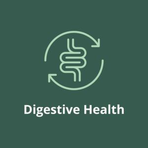 Digestive Health and Detox